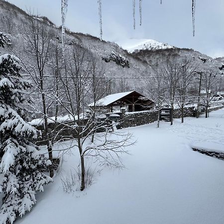 Villa Biocinovici Vikendica Kolašin Exterior foto